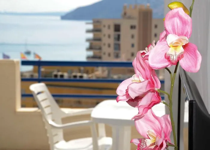 Apcostas Turquesa Playa - Apartman Calpe